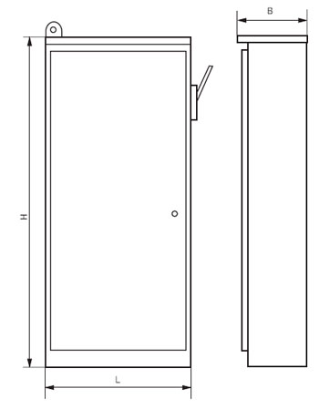 Общий вид и габаритные размеры распределительных шкафов серий ШР11, ШРС1