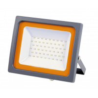 Прожектор светодиодный PFL-SC- 30w 6500K IP65 (матовое стекло) Jazzway